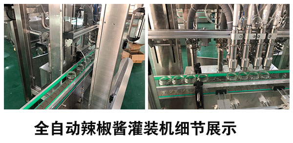 粉劑瓶裝連續(xù)灌裝機

